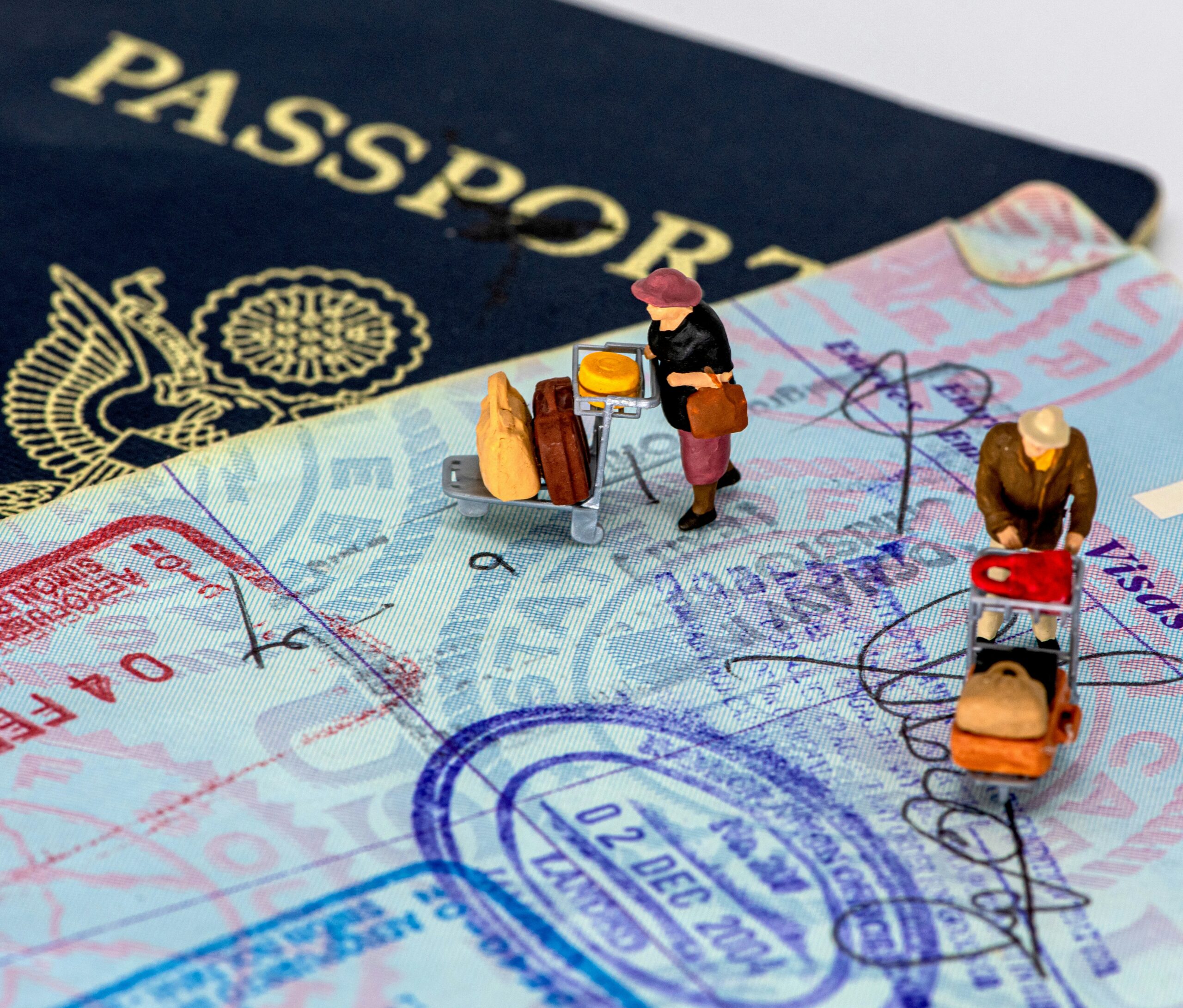 Investor Immigration